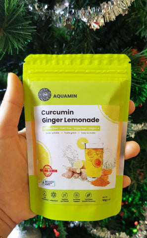 CURCUMIN GINGER LEMONADE -travel size 90g