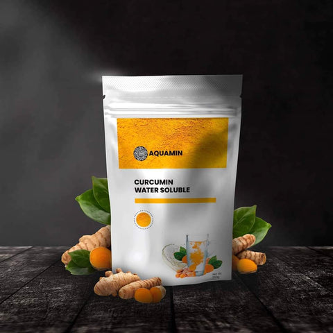 CURCUMIN WATER SOLUBLE - 250g