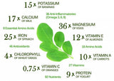 Organic MORINGA powder - 100% from fresh leaf -85g