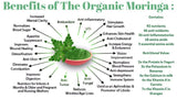 Organic MORINGA powder - 100% from fresh leaf -85g